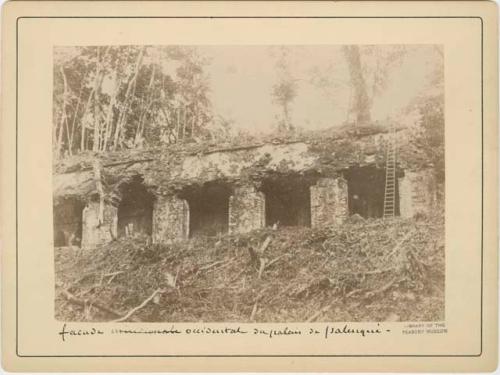 Palace Western Facade In Palenque