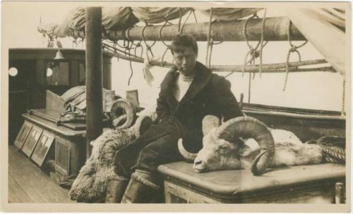 Arctic Voyage of Schooner Polar Bear - Dunbar Lockwood and mountain sheep