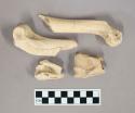 Organic, faunal remains, bone fragments, white deer humerus