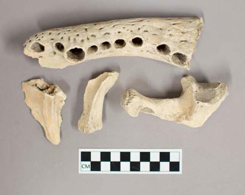 Organic, faunal remains, bone fragments, small and large crocodiles