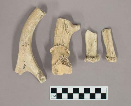 Organic, faunal remain, antler fragments