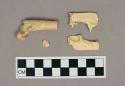 Organic, faunal remain, grey fox bone and teeth fragments