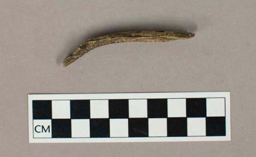 Bone fragment, possibly modified