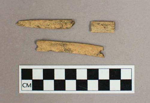 Worked bone, bone needle fragments, one fragment tapered to a point, one fragment with perforation