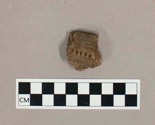 Ceramic, earthenware rim sherd with impressed exterior decoration