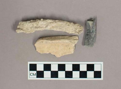 Organic, faunal remains including shell, coral, and bone fragments, and Ceramic body sherd