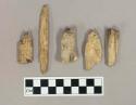 Worked bone, including bone points, fragments of perforators, and fragments with cut marks