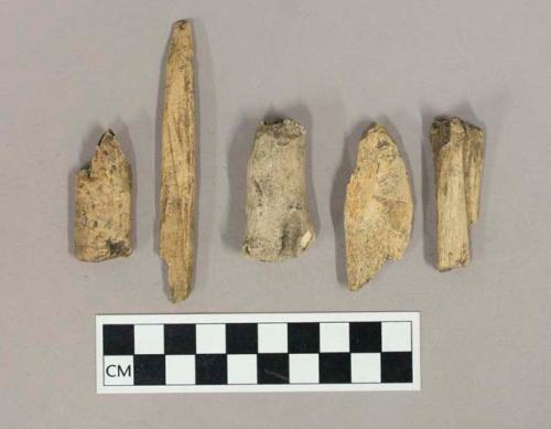 Worked bone, including bone points, fragments of perforators, and fragments with cut marks