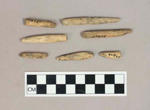 Worked bone, including bone points and point fragments, and fragments of incised bone