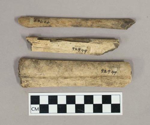 Faunal remains, fractured bone fragments with cut marks