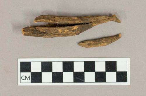 Organic, fragments of wood, possibly worked