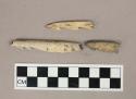 Worked bone harpoon point fragments