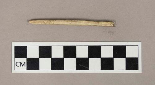 Worked bone shaft fragment