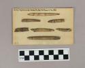 Worked bone points, and harpoon points with serrated edges or barbs, sewn onto 12 paper cards