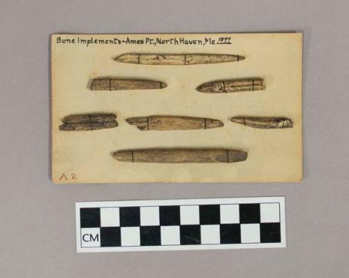 Worked bone points, and harpoon points with serrated edges or barbs, sewn onto 12 paper cards