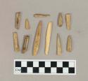 Worked bone point fragments