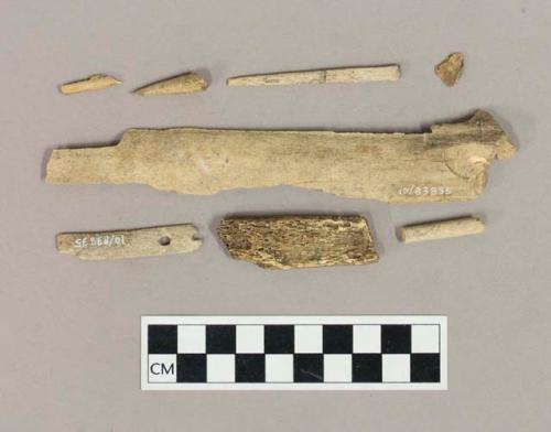 Worked bone, including point fragments, and a bone matting needle fragment with perforation