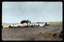 Lantern slide of shepherds with flocks and camels(?), hand-colored