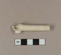 Unsmoked, undecorated kaolin pipe bowl, heel, and stem fragment; 5/64" bore diameter