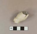 Smoked pipe bowl and heel fragment; rouletted rim. Fragments crossmended with glue