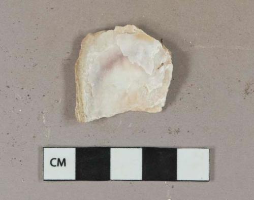 Shell fragment, likely oyster