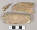 Mammal bone fragments, likely rib fragments