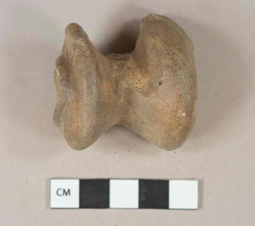 Mammal bone fragment, epiphysis end