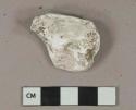 Oyster shell fragment, heavily degraded