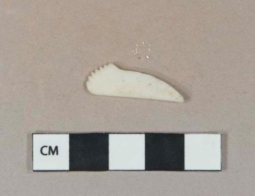 White plastic fragment, likely tip of serrated plastic knife