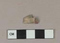 Unidentified thin bone fragment, likely fish