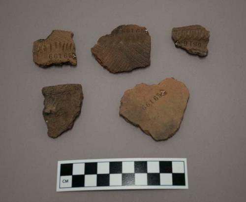 Sherds