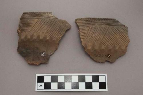 Sherds