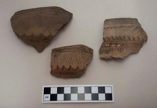 Ceramic rim sherds, flat edges, incised designs