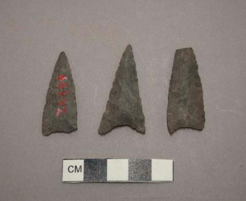 Chipped stone, projectile points, gray