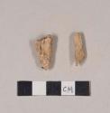 Partially burned animal bone fragments