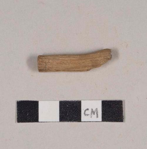 Stick fragment