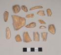 Animal bone fragments, some with butchery marks