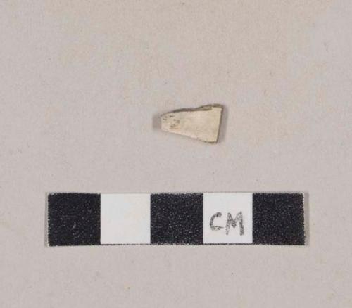 Partially calcined animal bone fragment