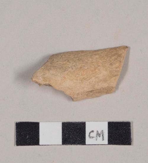 Butchered animal bone fragment