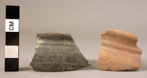 8 sherds of bowls with everted rims