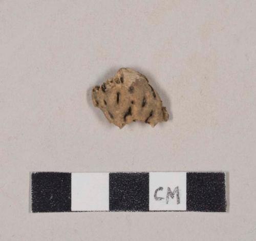 Reticulated nut or seed shell fragment