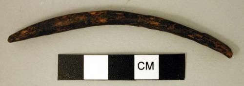 Fragment of spindle whorl