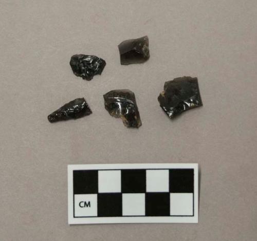 Chipped stone chipping debris, obsidian