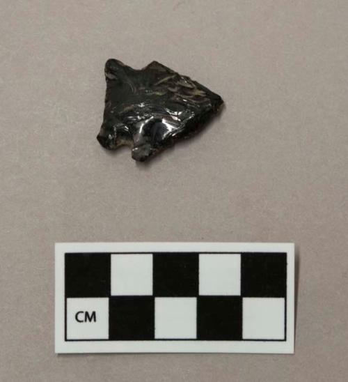 Chipped stone projectile point, side-notched