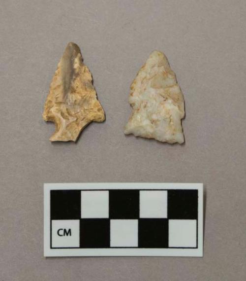 Chipped stone projectile points, side notched