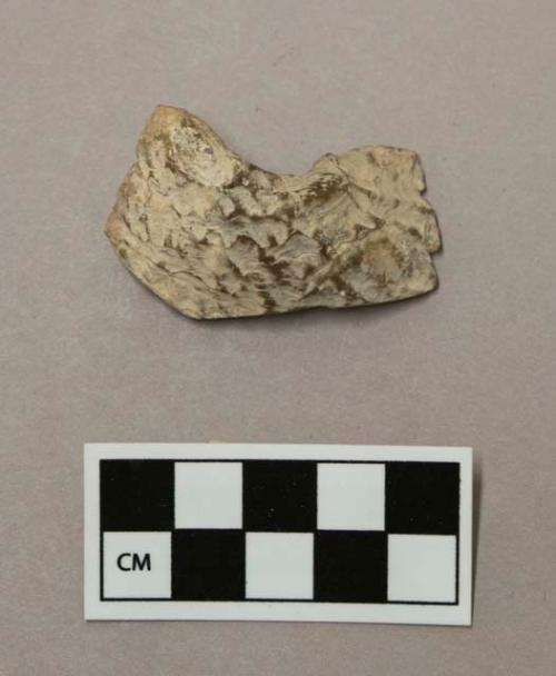 Worked shell fragment