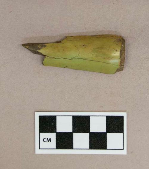 Polished bone fragment