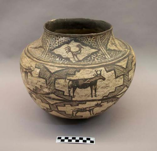 Polychrome-on-white olla:  animal and geometric motif