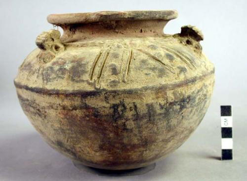 Rounded-bottom pottery vessel - incised decoration; 3 adornos on shoulder