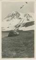 Arctic Voyage of Schooner Polar Bear - Schooner Trilby beached on land